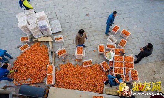 ���˴�������