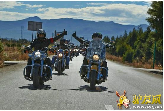 ��������������2013��ţ�й��û���������ֳ�