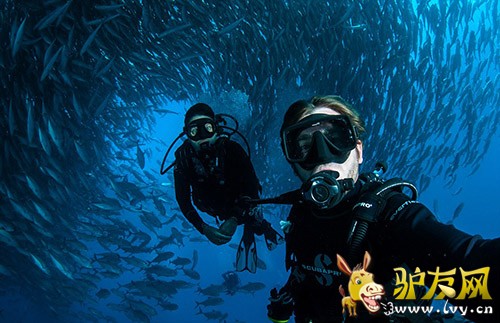 �������������������׿�����������ī�����ն�Ī�Ǻ���Ǳˮʱ������Ⱥ��