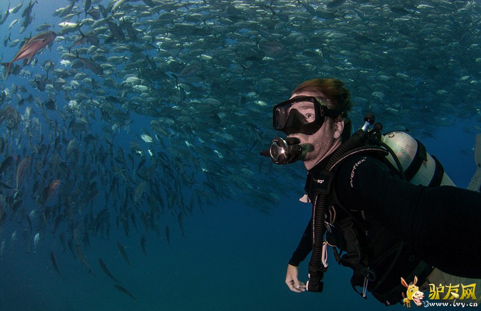 �������������������׿�����������ī�����ն�Ī�Ǻ���Ǳˮʱ������Ⱥ����ҳ��ͼ