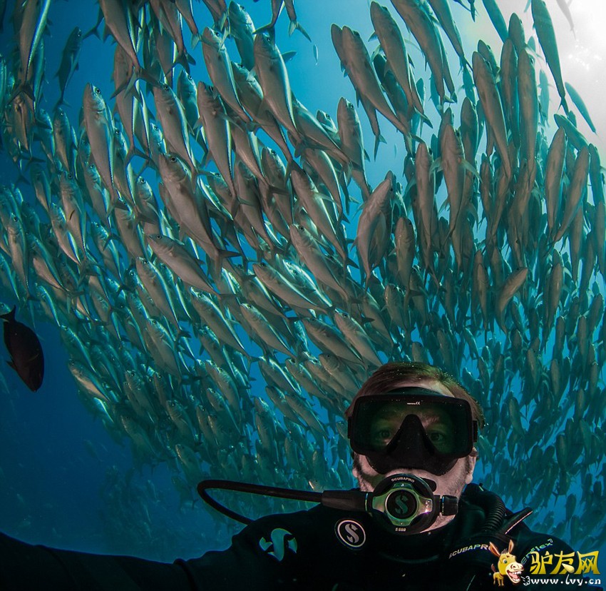 �������������������׿�����������ī�����ն�Ī�Ǻ���Ǳˮʱ������Ⱥ����ҳ��ͼ