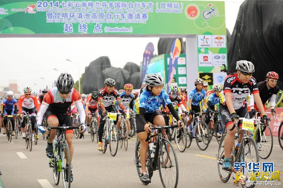 ��2014���߲����ϸ����Ҷ�������г��ڡ�����������