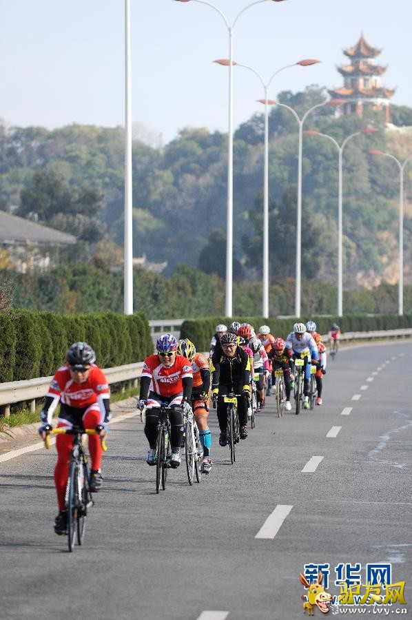 ��2014���߲����ϸ����Ҷ�������г��ڡ�����������