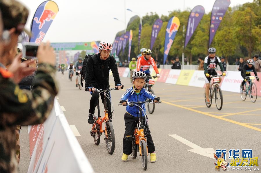 ��2014���߲����ϸ����Ҷ�������г��ڡ�����������