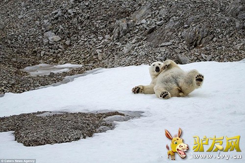 ͼΪ��ѩ�������ı����ܡ�