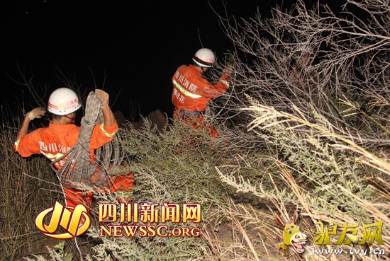 ��Ԯ�ֳ�����֦��������ͼ