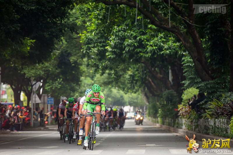 ѡ�����ڱ�����