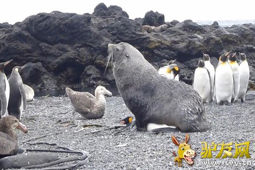 ��ѧ�ұ�ʾ�����Ժ������������ѳ�Ϊһ�����ơ�