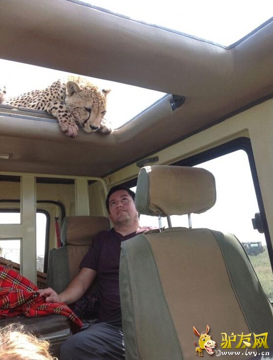 �����Ա������촰��ͷ�����ÿ�(��ͼ)