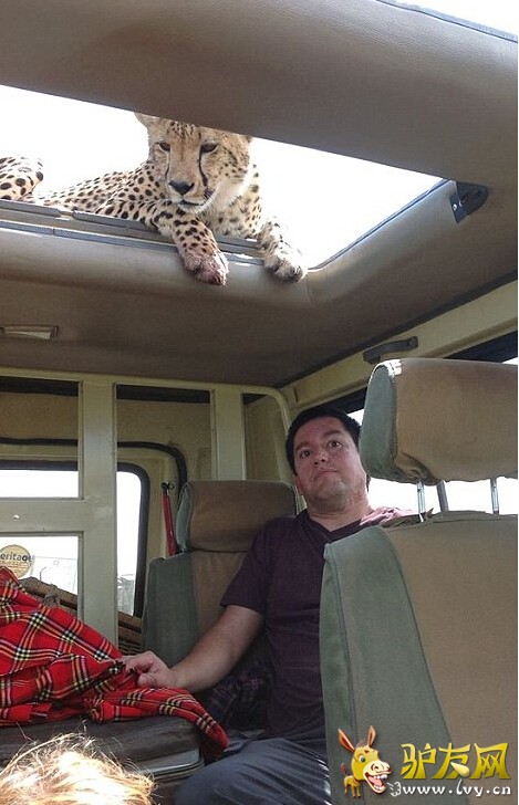 һֻ��èſ��ͷ������λ�ÿ���ʵ�ŵĹ�Ǻ��