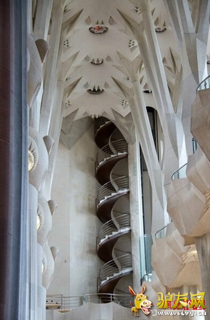 �̵�ȫ����ֲ����� �ȳ����