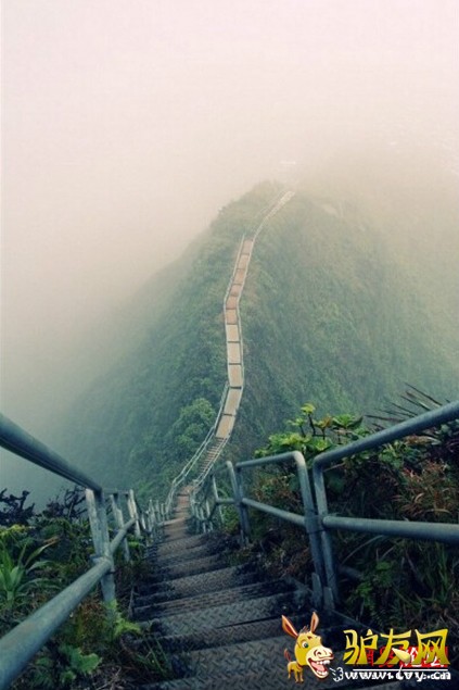 �̵�ȫ����ֲ����� �ȳ����