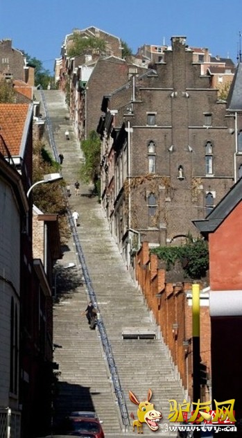 �̵�ȫ����ֲ����� �ȳ����