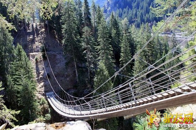 �̵�ȫ����ֲ����� �ȳ����