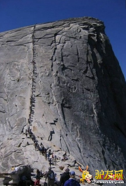 �̵�ȫ����ֲ����� �ȳ����