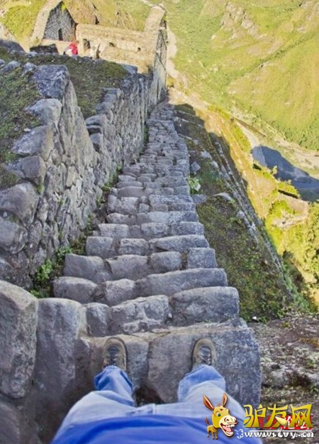 �̵�ȫ����ֲ����� �ȳ����