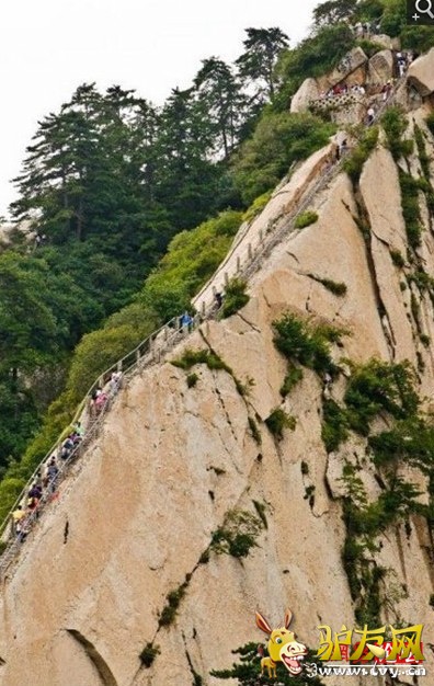 �̵�ȫ����ֲ����� �ȳ����