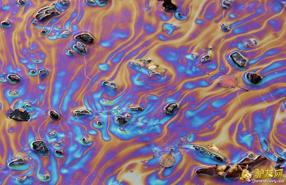 ͼΪ�������������ɽ��������һ��������ɫСϪ����ҳ��ͼ