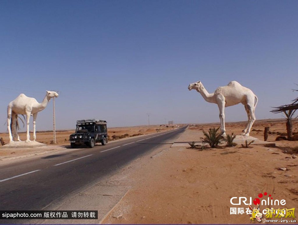 ͼΪ������������ɳĮ��