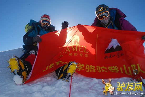 ��Ա�Ƕ�������������