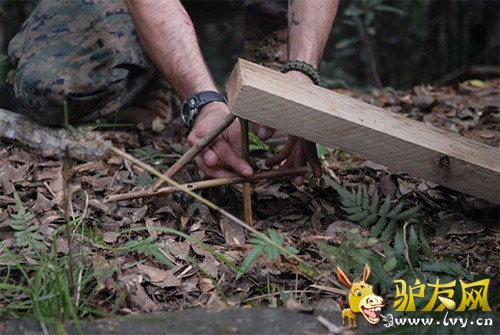 ����ͼ��ľȡ��