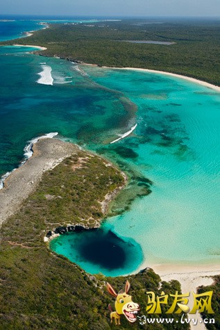 �ڲ����Ⱥ������кܶ������������ڽ�������(Lighthouse Reef)�Ĵ���������������һ����Ҳ�����ʺ�Ǳˮ�ĵط���