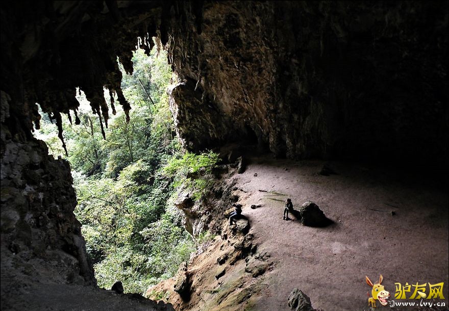����-����Ice Cave