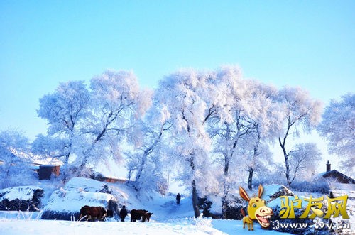 �����������ɣ��������α�ȥ��10������