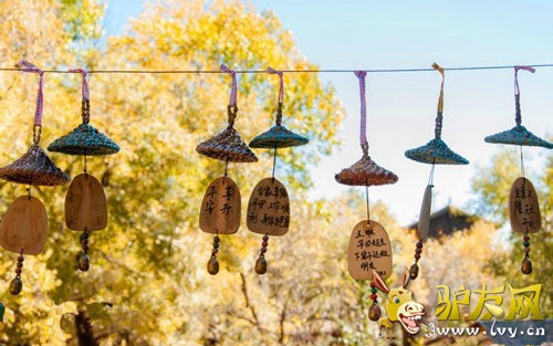 ������ҹ�������еĵƹⶼ��ů��ɫ�ģ����ʡ�����������һ�������˲��ܴ��������ܼ��ߣ������ſ�!��������ַ��ĵ͵͵ģ�����ģ��������ڿ���������