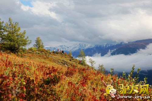 12�µף����ˮ�������񣬳�Ϊȫ�����еĸ�ɽ��������������ɽ���µĻ�ѩ�����л�ѩ�����մ̼��ֿ����ɽҰ���ڶ��еĴ���֮����