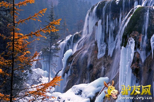 ��12����Ѯ��1����Ѯ�ľ�կ����ѩ�����ֵ��һ�Σ�������ջ��ͽ����ŵ���ʣ���;��Խԭʼɭ�֣������������ޡ���կ���Ķ�ѩ���������������߽����˱����ٲ�����̬�Ļ���