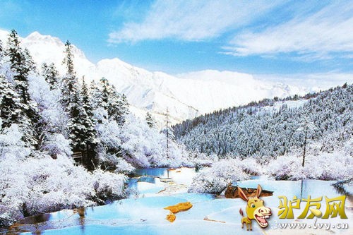 �����������ɣ��������α�ȥ��10������