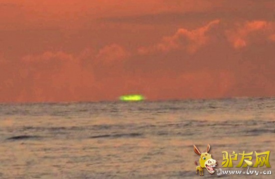 �ձ�����Ұ��������11��25�հ����ĵ��ľ���