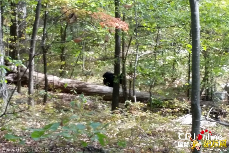 ������ѧ������ܹ�����ʳ���� ��ǰ��������(��ͼ)