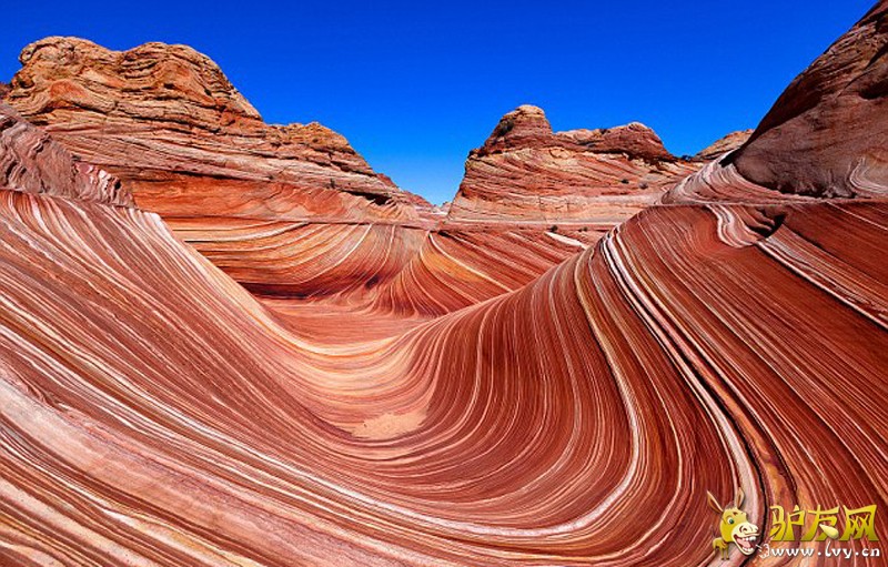 ��Щ���˾�̾����Ȼ�����������������ɣ����ɳĮ�У�����Ϊ��ʯ�ˡ����������1.9���ꡣ