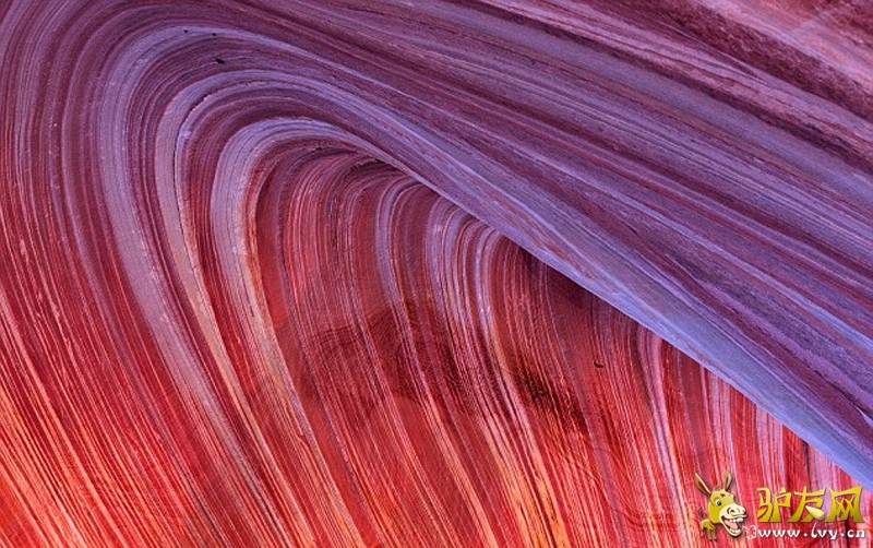 ��Щ���˾�̾����Ȼ�����������������ɣ����ɳĮ�У�����Ϊ��ʯ�ˡ����������1.9���ꡣ