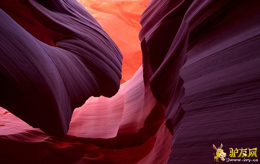 ��Щ���˾�̾����Ȼ�����������������ɣ����ɳĮ�У�����Ϊ��ʯ�ˡ����������1.9���ꡣ