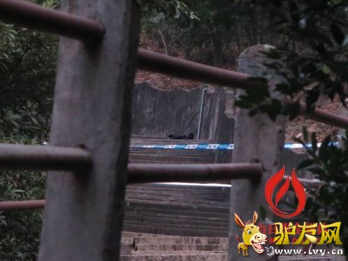 �·��ֳ��� ��ɽ�ձ����� ������ ��