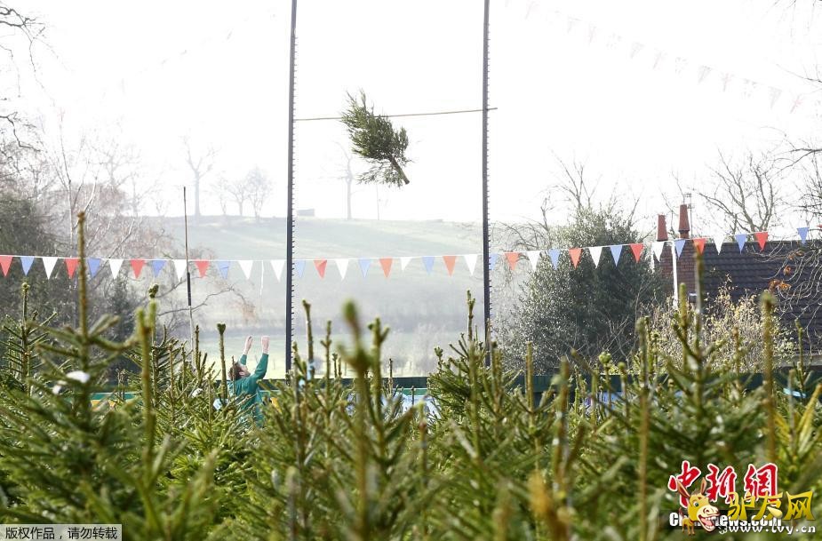 ������12��2�յ�  ����ý��������ǰ��Ӣ��������һ��������ġ�ʥ����Ͷ�����������������ǽ�һ��Լ��10�������ҵ�ʥ���������ԳＯ�ƿ