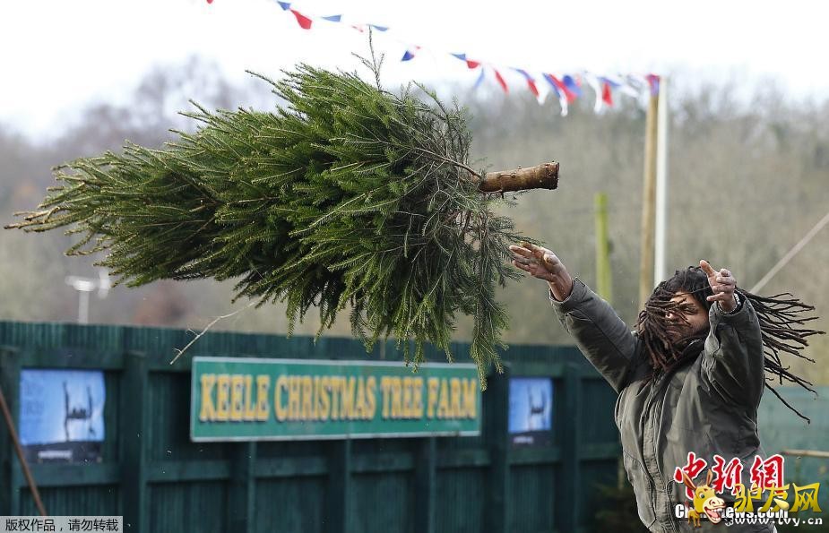 ������12��2�յ�  ����ý��������ǰ��Ӣ��������һ��������ġ�ʥ����Ͷ�����������������ǽ�һ��Լ��10�������ҵ�ʥ���������ԳＯ�ƿ