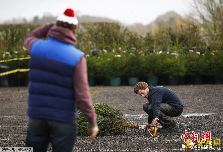 ������12��2�յ�  ����ý��������ǰ��Ӣ��������һ��������ġ�ʥ����Ͷ�����������������ǽ�һ��Լ��10�������ҵ�ʥ���������ԳＯ�ƿ