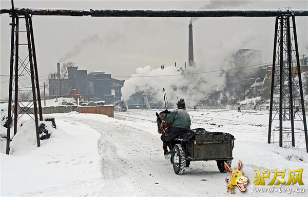 ��һ�������ɹţ����ױ�������ʯ�У���ͼ����򡣺���733��.1��ƽ������-31.3.����Ķ����Ǻֲܿ��ģ����ϵ��¶ȳ���-36�����£���������ʼ�����������ʷ����¶ȣ�-52�ȡ�