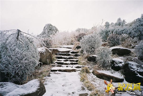 ��һ�������ɹţ����ױ�������ʯ�У���ͼ����򡣺���733��.1��ƽ������-31.3.����Ķ����Ǻֲܿ��ģ����ϵ��¶ȳ���-36�����£���������ʼ�����������ʷ����¶ȣ�-52�ȡ�