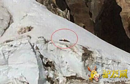 ���������ߵ�ͼƬ