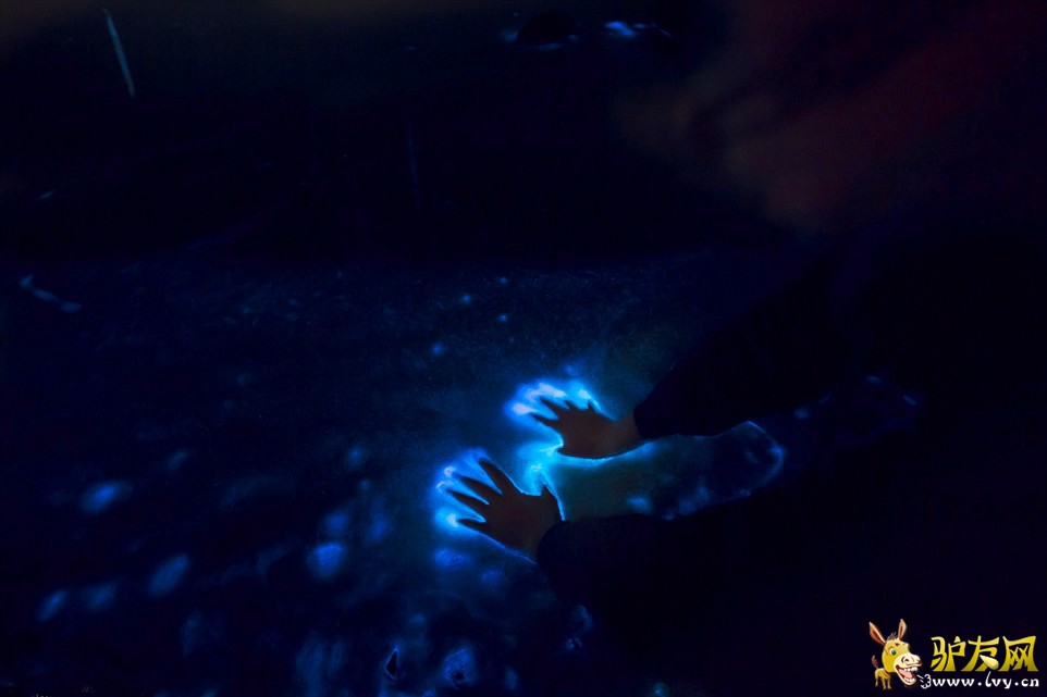 ����ֻ��������������亣̲ �������������(������ͼ)