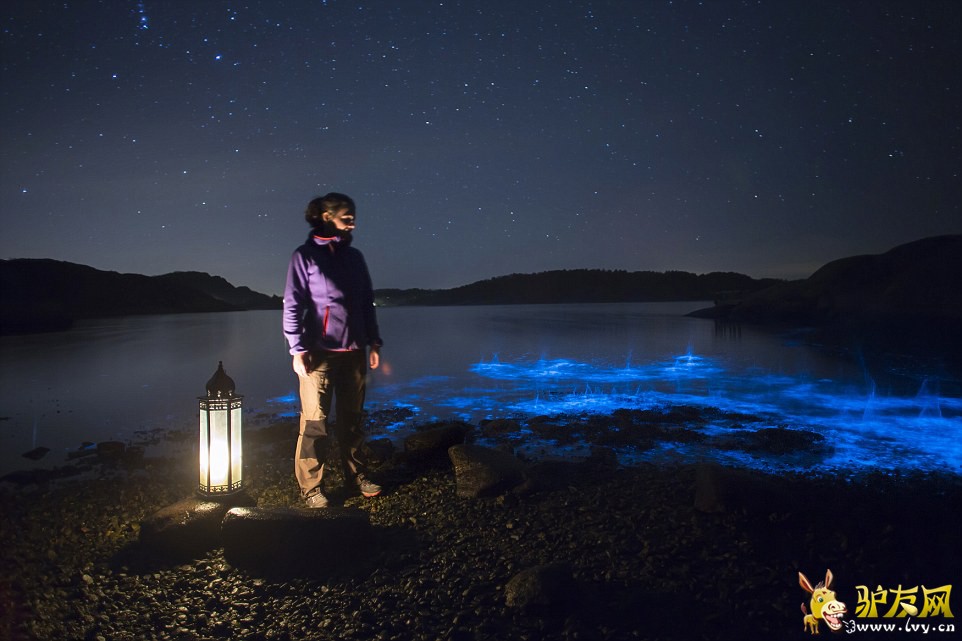 ����ֻ��������������亣̲ �������������(������ͼ)