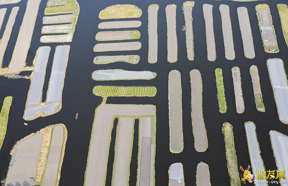 ������ʯ��԰���������⾵��Ȫ��������һ���������ϵĻ�ɽ����ҳ��ͼ