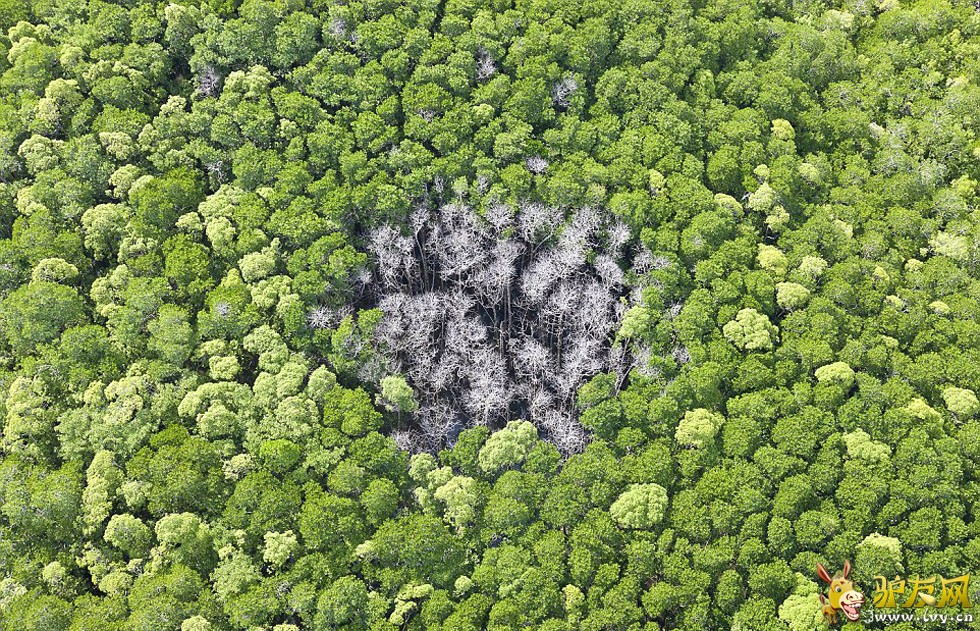 ������ʯ��԰���������⾵��Ȫ��������һ���������ϵĻ�ɽ����ҳ��ͼ