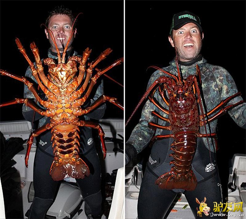 �������̵�70�������Ϻ �����ؼ��빷������(������ͼ)