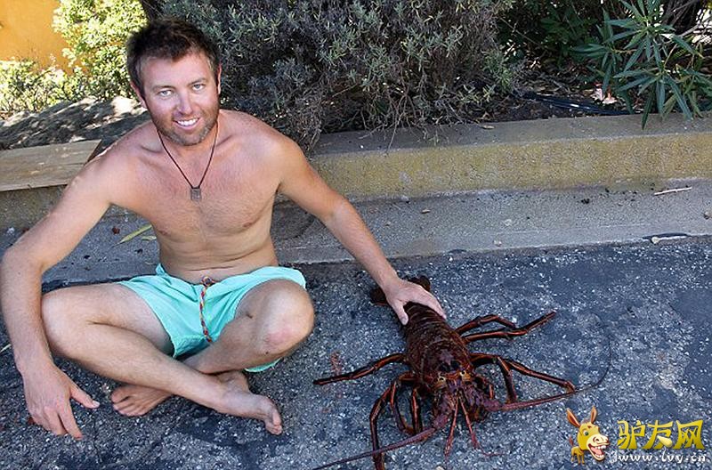 �������̵�70�������Ϻ �����ؼ��빷������(������ͼ)